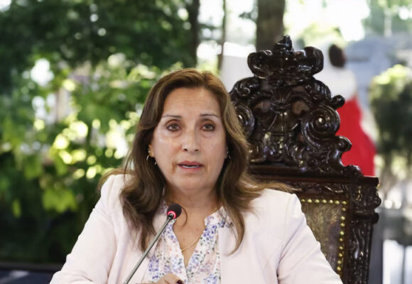 Gobierno frígido